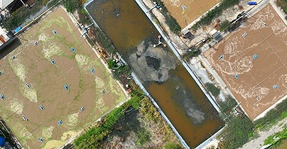 Dredging and dewatering services for complex water and sludge management