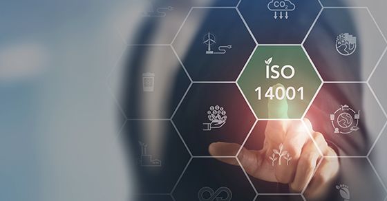The role of environmental management systems in sustainable operations