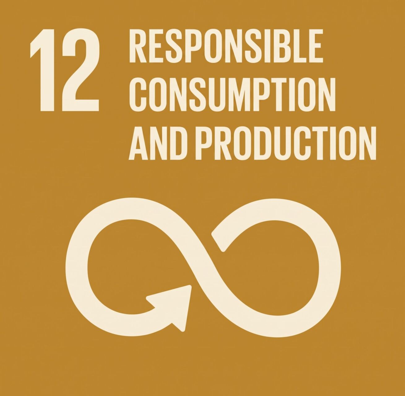 SDG 12 - Responsible Consumption and Production